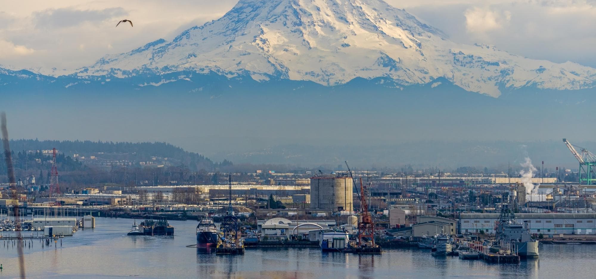 5 Unique Features that Make the Puget Sound Industrial Distribution Market So Successful